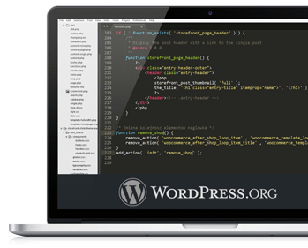 WordPress - jak pracować z Codexem
