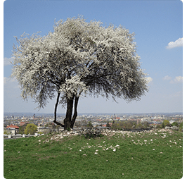 Poznaj wszystkie niezbędne elementy do tworzenia poprawnych zdjęc panoramicznych Fotografia krajobrazu