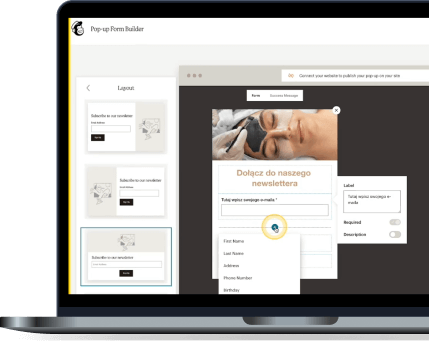 dodawanie zapisu do newslettera na stronie WordPress