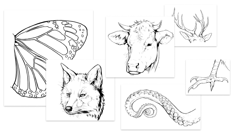 obsługa programu i digital painting w Adobe Photoshop