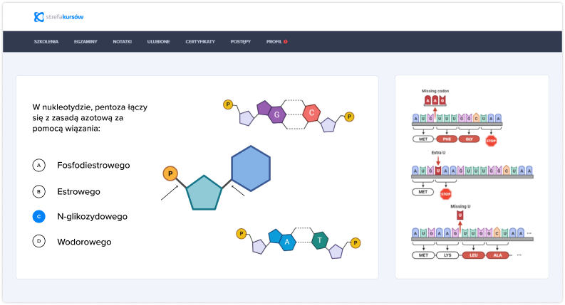 Genetyka molekularna.