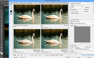 Optymalizacja grafiki