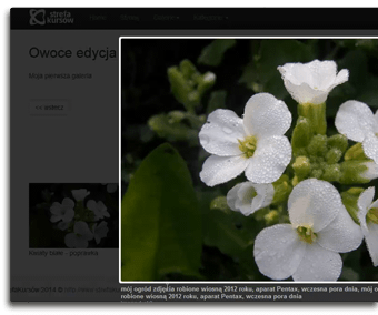 Wykorzystuj nowoczesne technologie