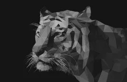 Tworzenie profesjonalnych stron z WordPress