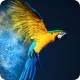 Kurs Adobe Photoshop CC - zaawansowany