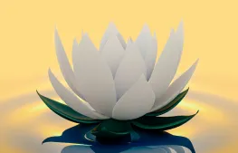 Kurs Mindfulness - trening uważności od podstaw