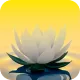 Kurs Mindfulness - trening uważności od podstaw