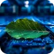 Kurs MongoDB od podstaw