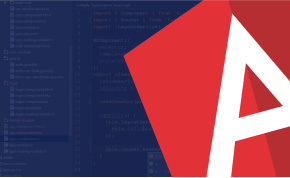 Angular Developer Angular Developer