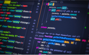 PHP Developer PHP Developer