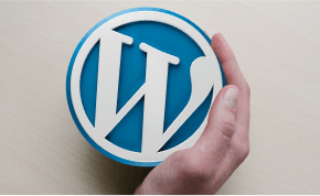 Wordpress Developer Wordpress Developer