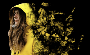 GIMP Designer GIMP Designer